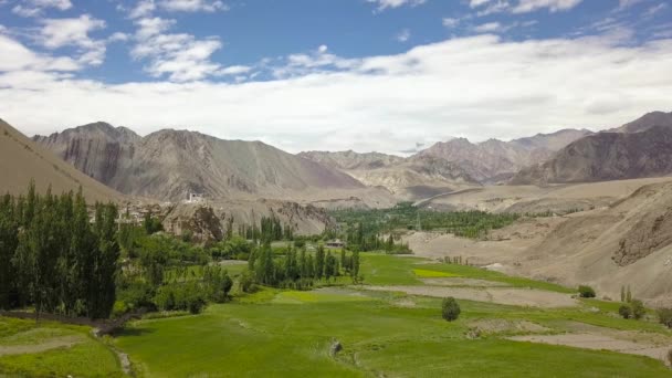 Vivid Green Farm Village Front Magnificent Himalayan Peaks Ladakh India — ストック動画