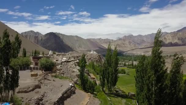 Flying Trees Tibetan Himalayan Landscape Ladakh India — Stock Video