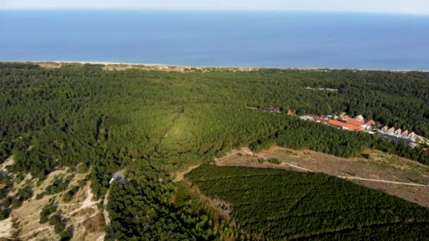 Aerial Panoramic Shot Green Pine Forest Baltic Sea Shore Nida — Vídeos de Stock