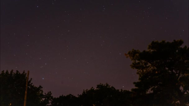 Timelapse Belo Céu Estrelado Noite Girando Longo Tempo Atrás Galhos — Vídeo de Stock