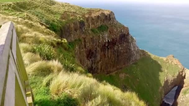 View Lover Leap Cliffs Otago Peninsula Dunedin New Zealand — ストック動画