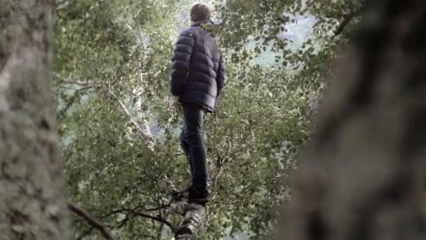 Man Standing Tree Branch Surrounded Leaves Forest Slow Motion Norway — Video Stock
