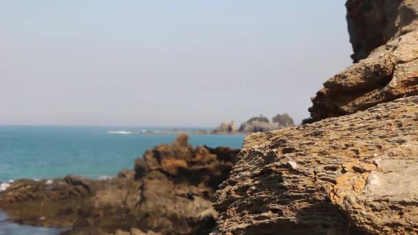 Shot Focusing Cliffs Foreground Ocean Background Inverloch Victoria Australia — Stock Video