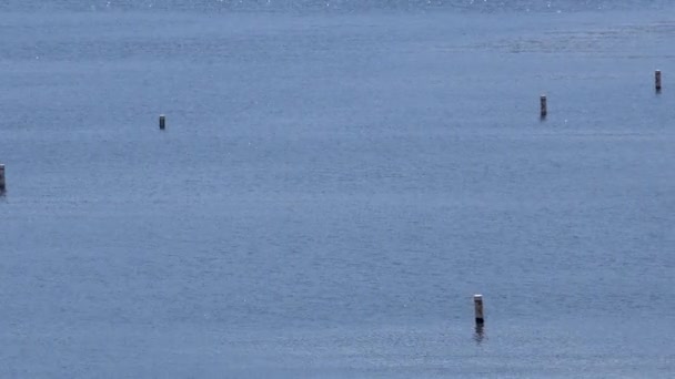 Channel Markers Bartlett Lake Tonto National Forrestt Sonoran Desert Carefree — Stockvideo