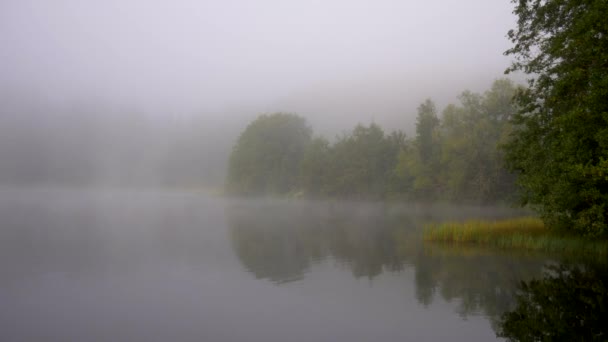 Small Lake Covered Fog Calm Day — Vídeo de Stock
