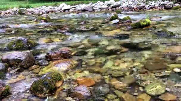 Water Flowing Mountain Stream Stones National Park Taken Tatra Mountains — Stock video