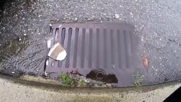 Sewer Drain Full Water Side Road City — Wideo stockowe