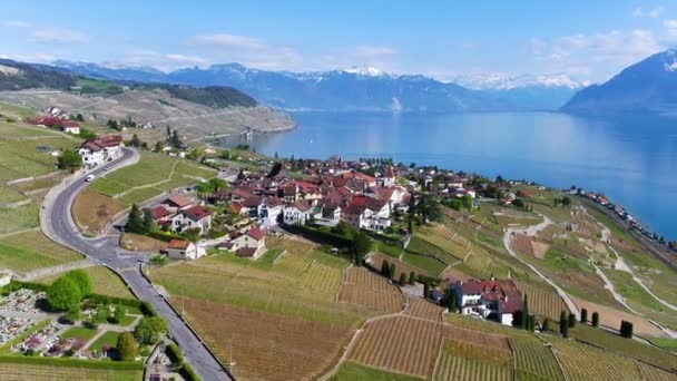 Aerial Shot Lavaux Vineyard Spring Timelocation Grandvaux Lake Lman Alpine — Stock videók