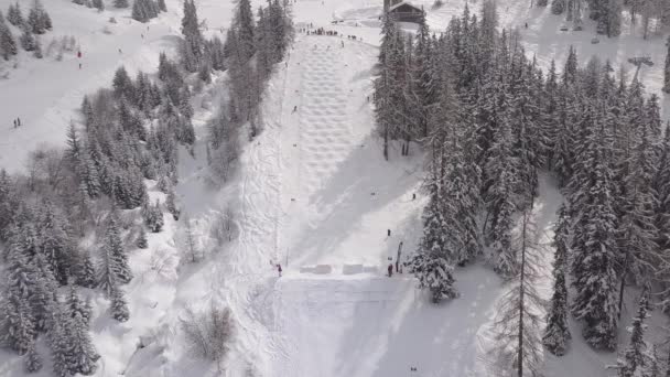 Aerial Drone Shot Two Skiers Skiing Racing White Snowy Slopes — Stock video