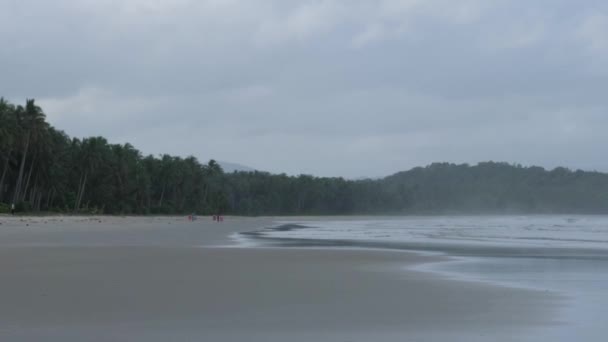 Slow Motion Shot Wide Long Sandy Beach Palm Trees Cloudy — Stok video