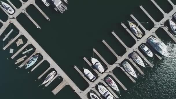 Marina Aerial View 50Fps — Vídeo de Stock