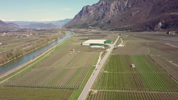 Aerial View Some Vines Fields Italian Alps Road Middle — Stockvideo