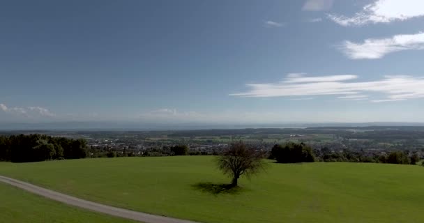 Lake Constance Landscape Aerial View Sunny Day Markdorf — ストック動画