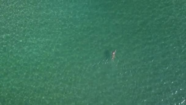 Female Tourist Swims Her Back Clear Shimmering Green Waters Aegean — Video