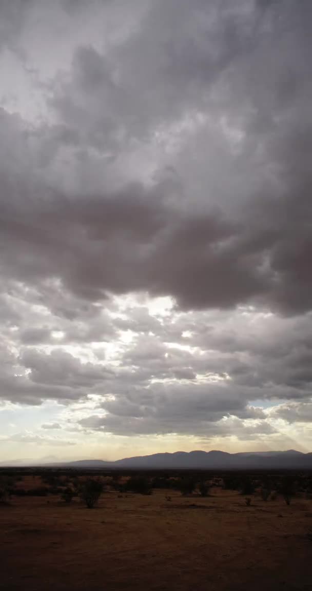 Vertical Time Lapse Storm Clouds Gathering Desert — Stock videók