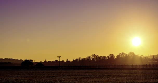 Splendido Tramonto Timelapse Con Aerei Cielo Viola Timelapse Del Tramonto — Video Stock