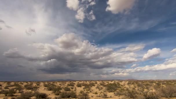 Timelapse Dark Storm Clouds Gathering Mojave Desert Grasslands — Stockvideo