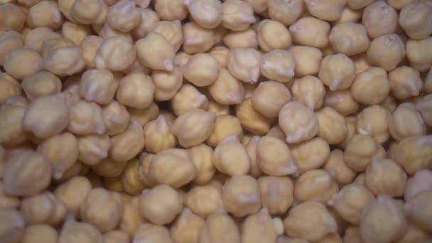 Slowmo Close Pan Garbanzos Garbanzos Remojados — Vídeos de Stock