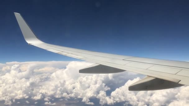 Ala Avión Volando Sobre Nubes — Vídeo de stock