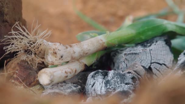 Roasting Calcots Green Onions Wood Fire Outdoors Close Slowmo — Stockvideo