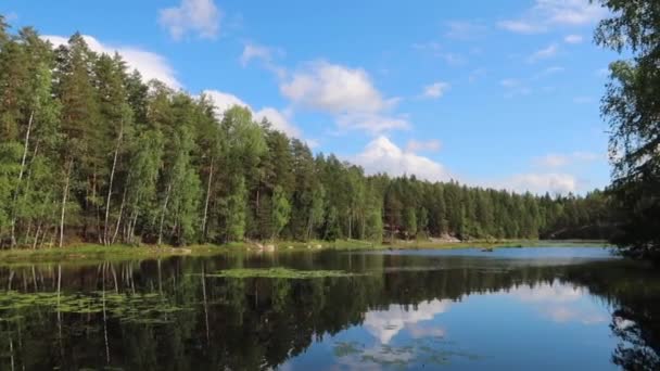 Тихие Воды Маленького Озера Национальном Парке Финляндии — стоковое видео