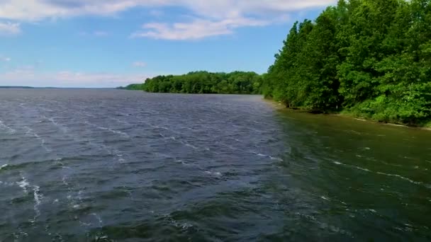 Drone Footage Wooded Mosquito Lake Shoreline Clear Day Blue Sky — 비디오