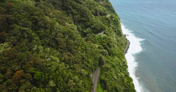 Aerial Shot Road Hana Showing Lush Forestry Clue Coast Line — Stock Video