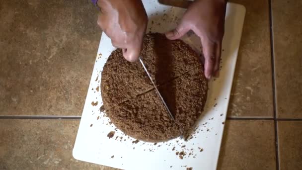 Timelapse Woman Cutting Whole Chocolate Cake Slices Overhead Close — 비디오