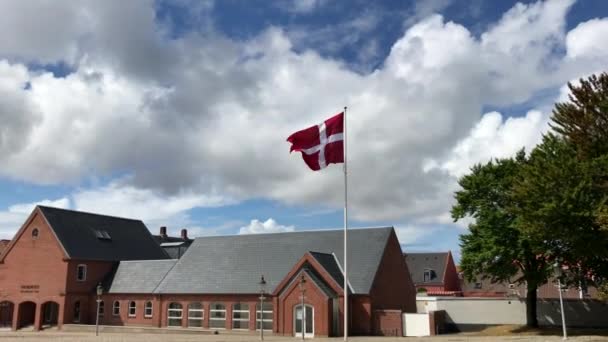 Denmark Flag Swaying Wind Big Pole Taken Esbjerg Denmark — Αρχείο Βίντεο