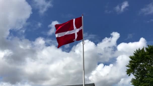 Denmark Flag Swaying Wind Big Pole Taken Esbjerg Denmark — Stockvideo