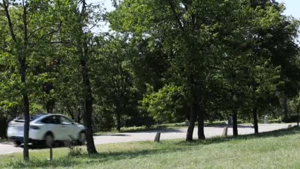 Белая Машина Едет Дороге Деревьями Солнечный День — стоковое видео