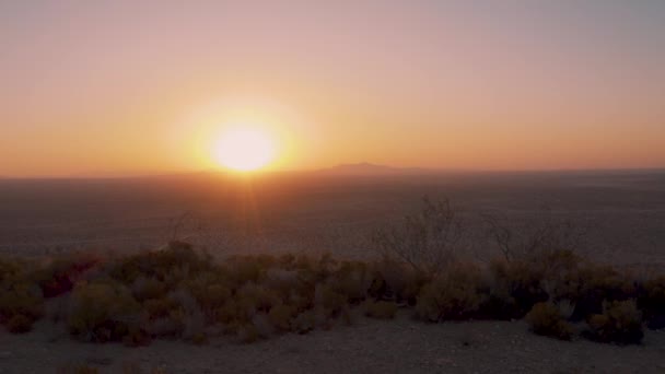 Aerial Pan Mojave Desert Vegetation Fire Sunrise California — Stok video