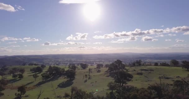 Voo Aéreo Sobre Floresta Austrália Com Sol Nuvens Fundo Tiro — Vídeo de Stock
