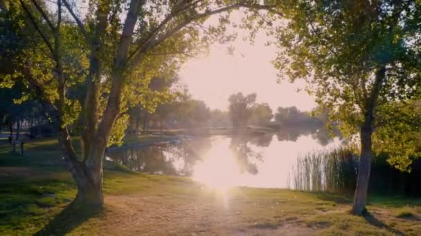 Spectacular Aerial Parallax Sunrise Park Lake Colorful Fall Morning — Vídeos de Stock