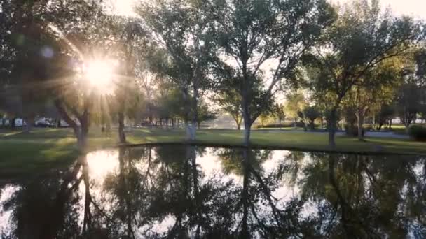 Flying Beautiful Park Pond Reflection Trees Setting Sun — Vídeos de Stock