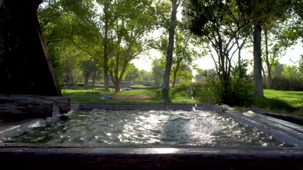 Water Falling Fountain Pool Green Park Trees Background — Video Stock