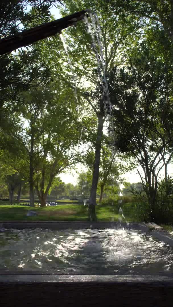 Waterfall Fountain Dripping Water Pool Park Background Vertical — Stok video