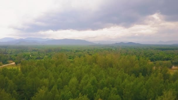 Drone View Very Dense Green Forest Mountains Background Cloudy Day — 图库视频影像