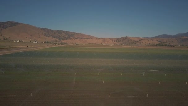 Aerial Drone Footage Flying Crops Being Watered Huge California Farm — Wideo stockowe