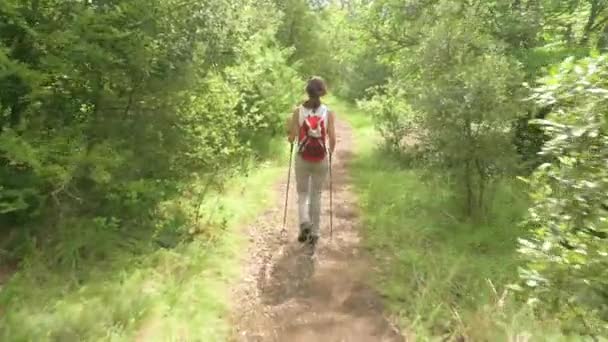 Beautiful Woman Hiker Hiking Poles Backpack Walking Bright Sunny Green — стокове відео