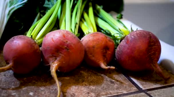 Close Pan Raw Red Beets Green Stems Next Bok Choi — Vídeo de Stock