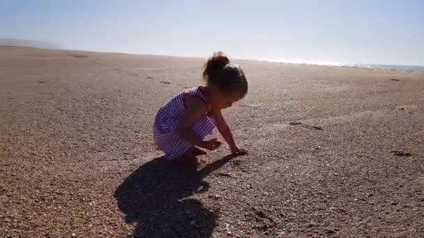 Little Girl Picking Sea Shells Beach — Stockvideo