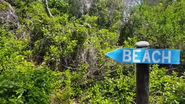 Blue Wooden Arrow Sign Pointing Beach — ストック動画