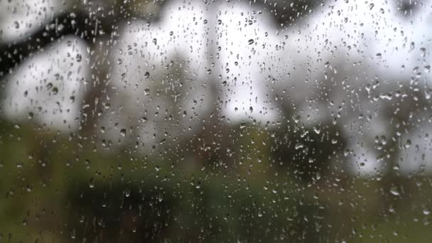 Woman Cleans Glass Window Grey Rainy Day — Αρχείο Βίντεο