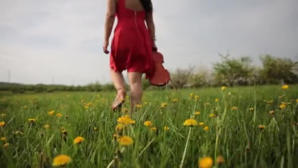 Red Dress Girl Violin Walking Grass — Stockvideo