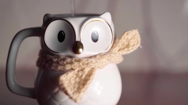 Cute Small Macro Owl Mug Closes Eyes Pouring Hot Water — Stock videók