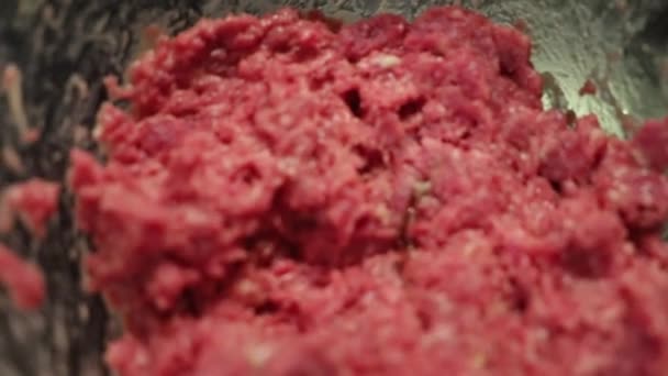Mix Meat Dough Kitchen — Stockvideo