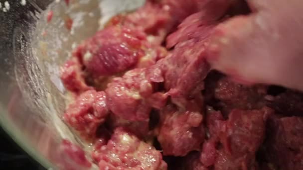 Mix Meat Dough — Vídeo de stock