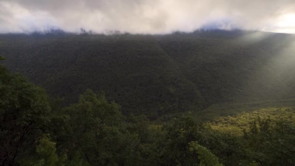 Panning Shot Sunbeam Shining Green Summer Mountains — Stock videók