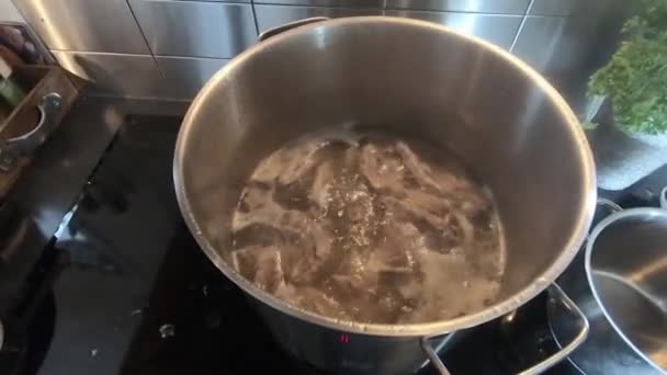 Cook Meat Saucepan — Stok video